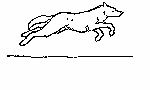 Animated Coyote Running